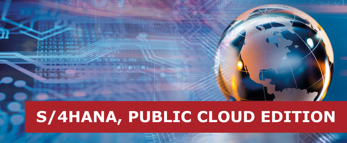Default image for S/4HANA Cloud, Public Edition